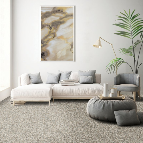 Living room with comfy carpet - Frequencies II - Flannel