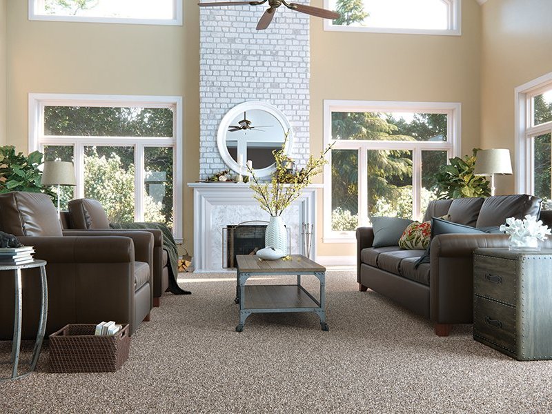 Carpet in a living room