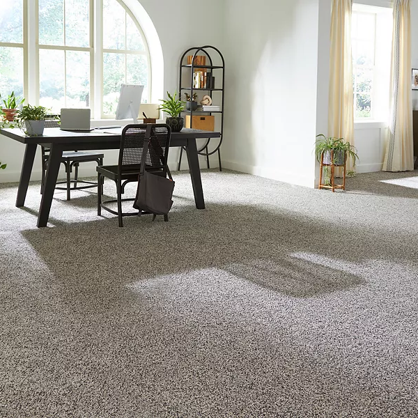 PETPremier using Mohawk Continuum, the ultimate innovation in PET carpet